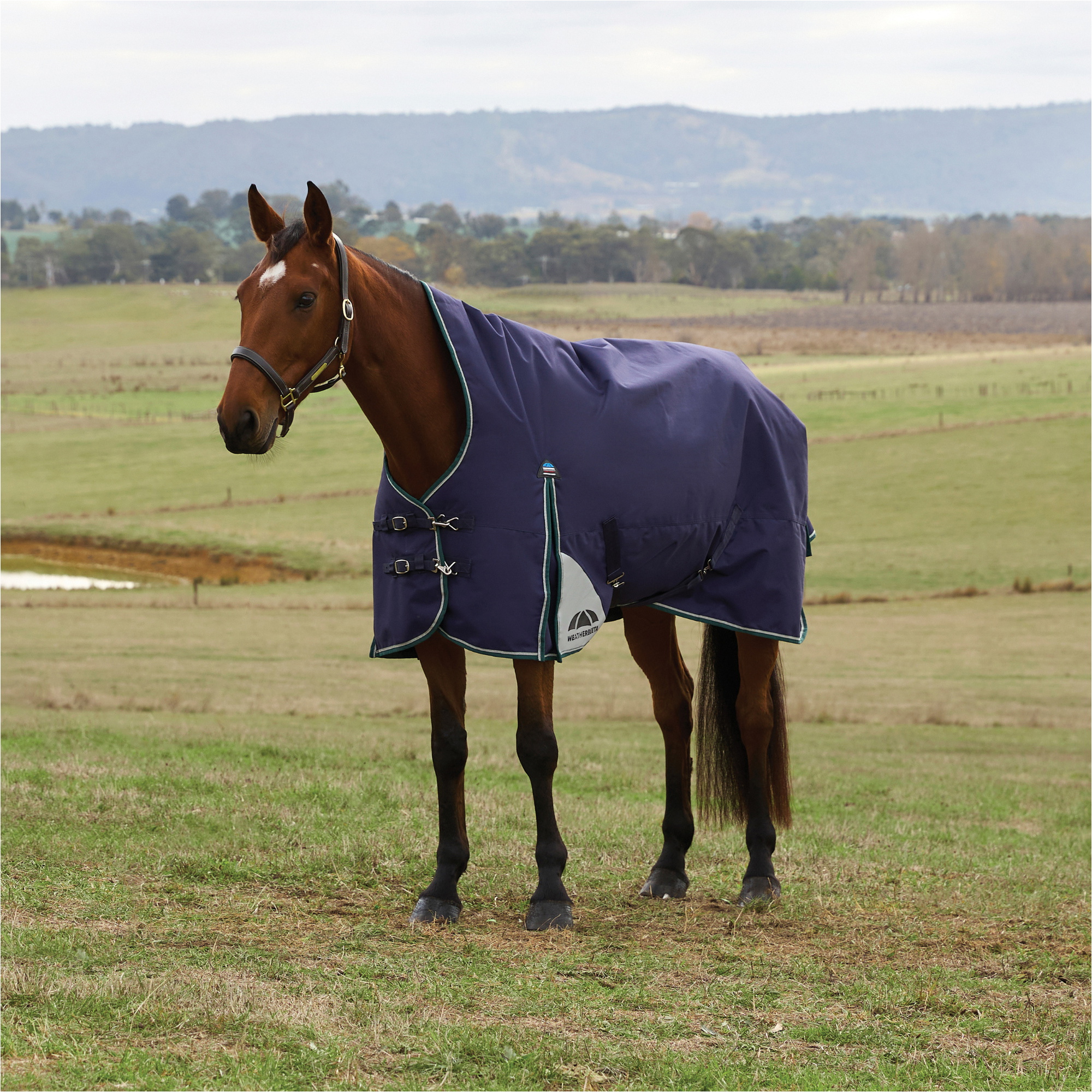 2025 Weatherbeeta Comfitec Plus Dynamic Turnout High Neck 1029006 - Navy